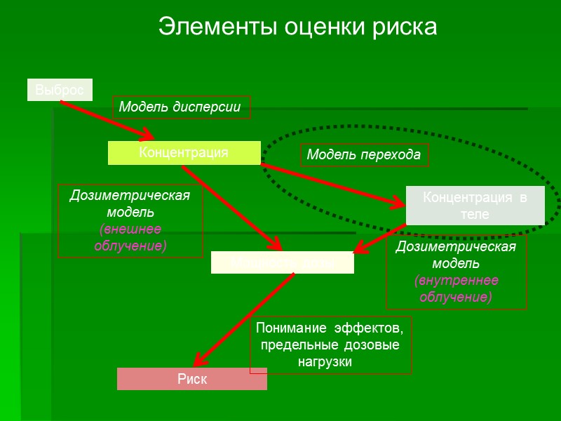 Элементы оценки риска Концентрация Выброс Мощность дозы Риск Модель дисперсии Модель перехода Дозиметрическая Элементы оценки риска Концентрация Выброс Мощность дозы Риск Модель дисперсии Модель перехода Дозиметрическая